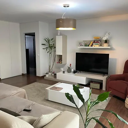 Pine Apartment Leiria